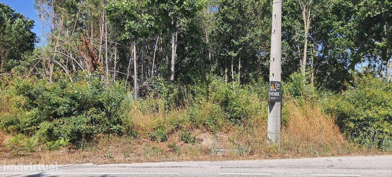 Terreno para construção com área de 3.900,00m² em Oliveirinha, Carrega - Grande imagem: 5/5