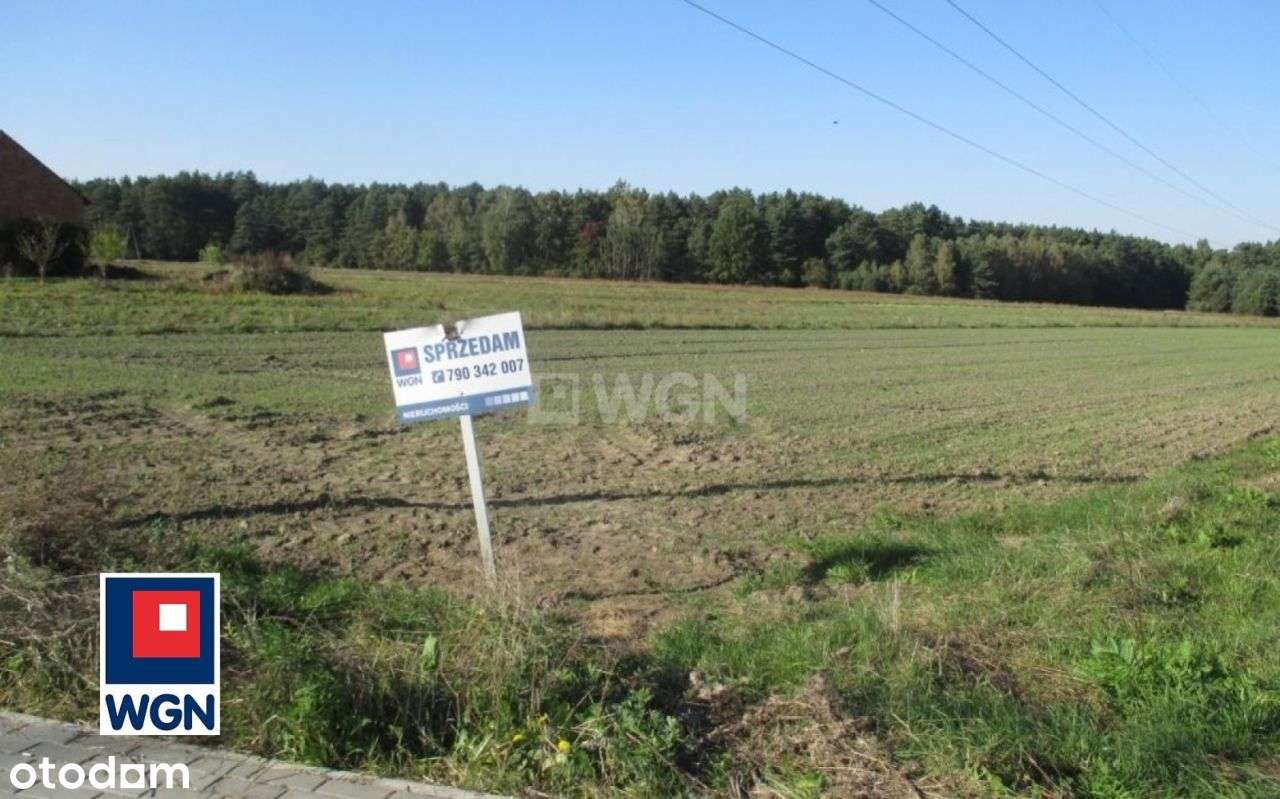 Działka, 12 000 m², Zalesiaki-Pieńki - Pełny obrazek: 5/9