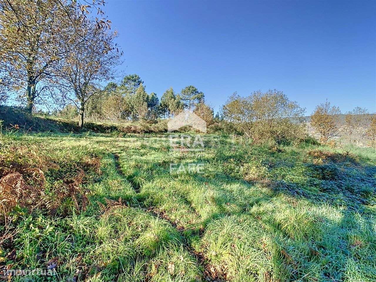 Terreno de construção com 9.997 m2 em Fafe - Grande imagem: 5/14