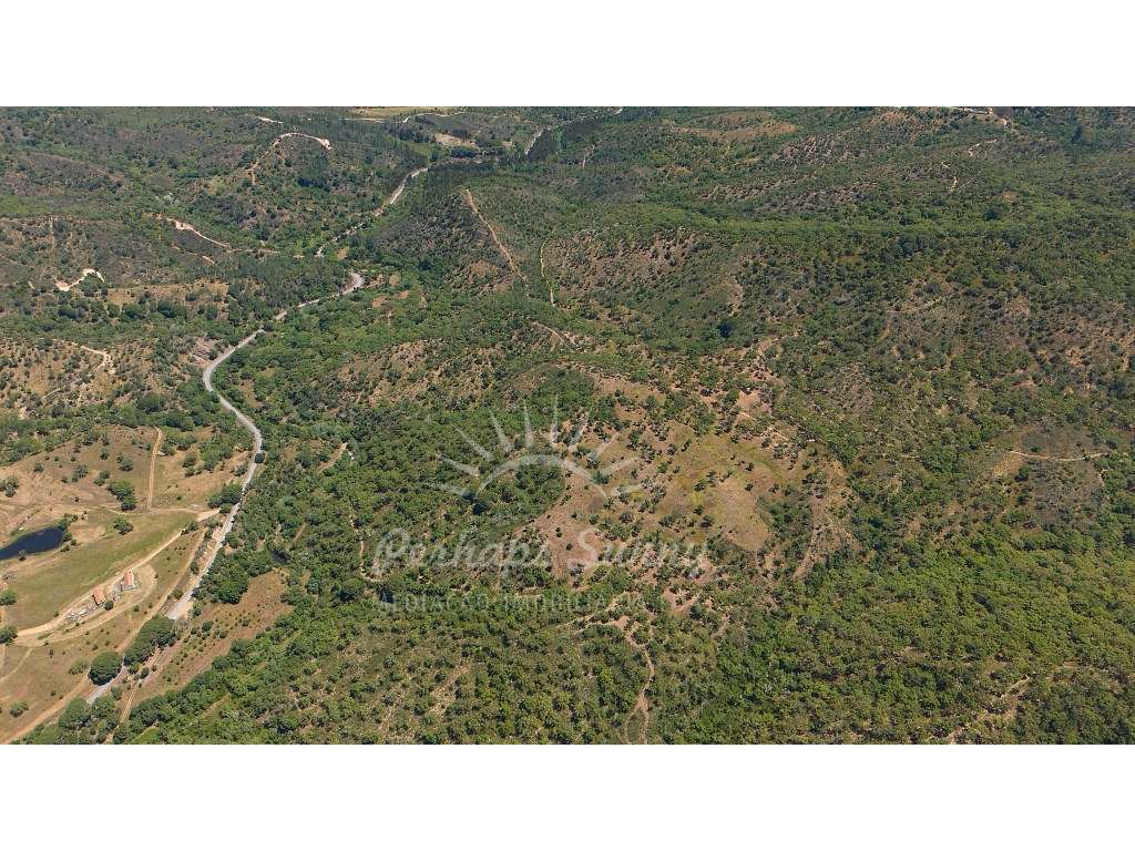 Propriedade Rústica de Montado com Ribeira | 22,6 Hectares | Serra ...-11