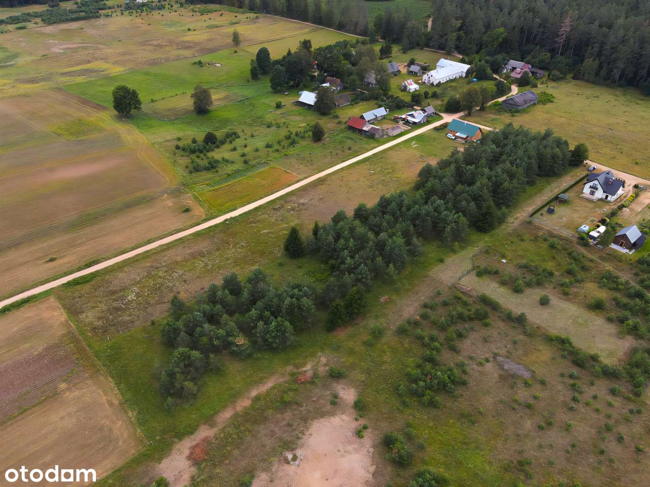 Atrakcyjna działka 1045 m² blisko lasu Serski Las obok Augusowa - Pełny obrazek: 4/16