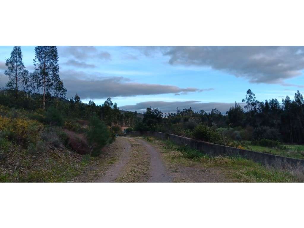 Terreno Rústico com Construção Rural, Poço e Oliveiras em Carreguei...-7