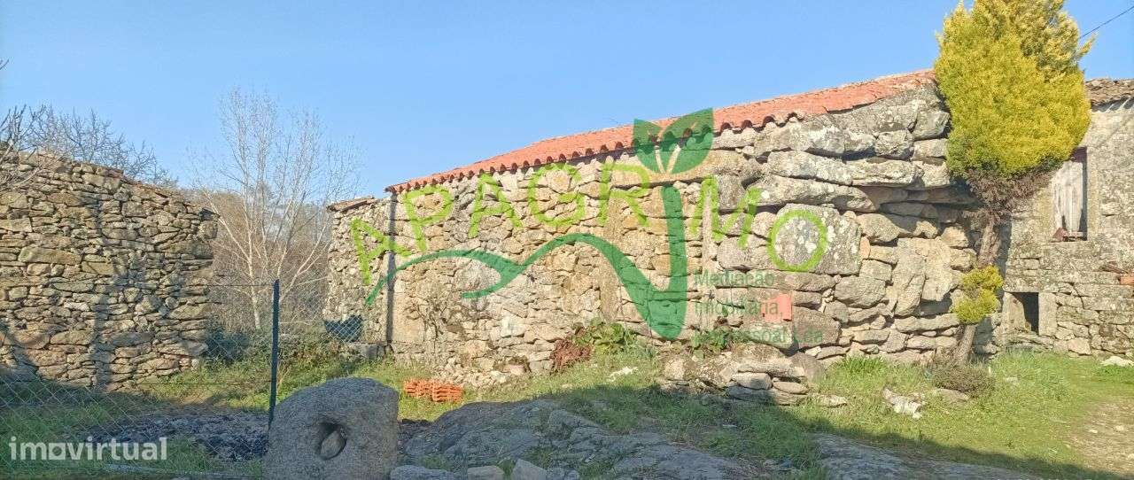 Casa rústica em Adobispo, Penedono - Grande imagem: 5/13