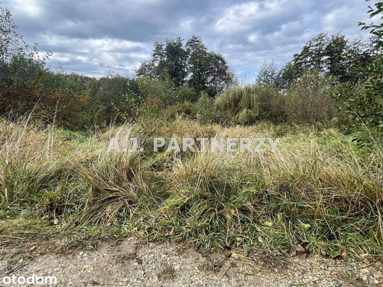 Działka budowlana w Rożnowej/Wieliczka-4