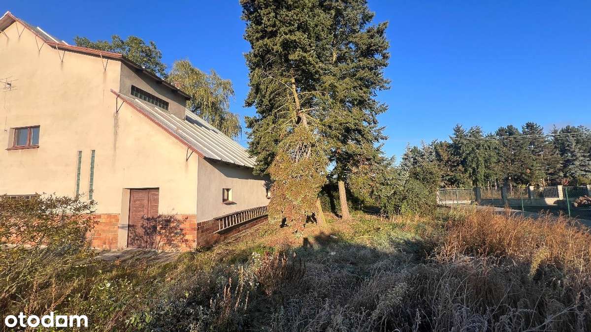 Duży dom 180 m2 na działce 1387 m2 w pobliżu lasu - Pełny obrazek: 5/20