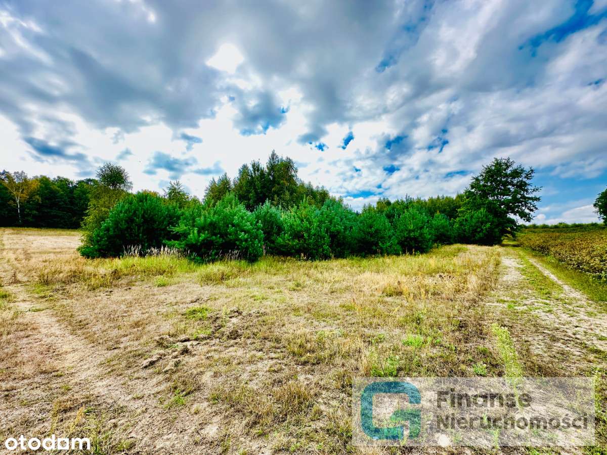 Działka rolna w Wólce Lesiewskiej - Pełny obrazek: 5/7