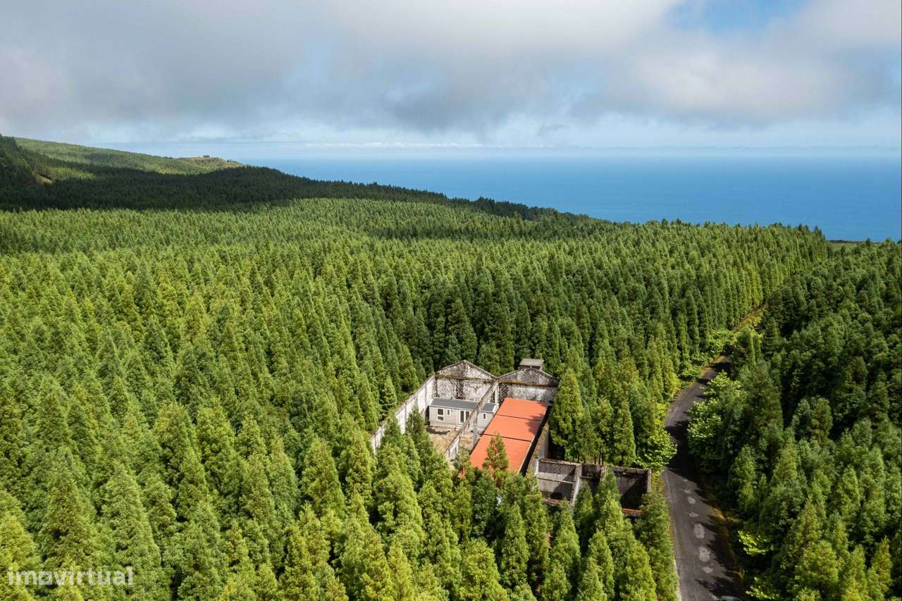 Quinta florestal  // Património ambiental // Investimento ROI garantid - Grande imagem: 4/29