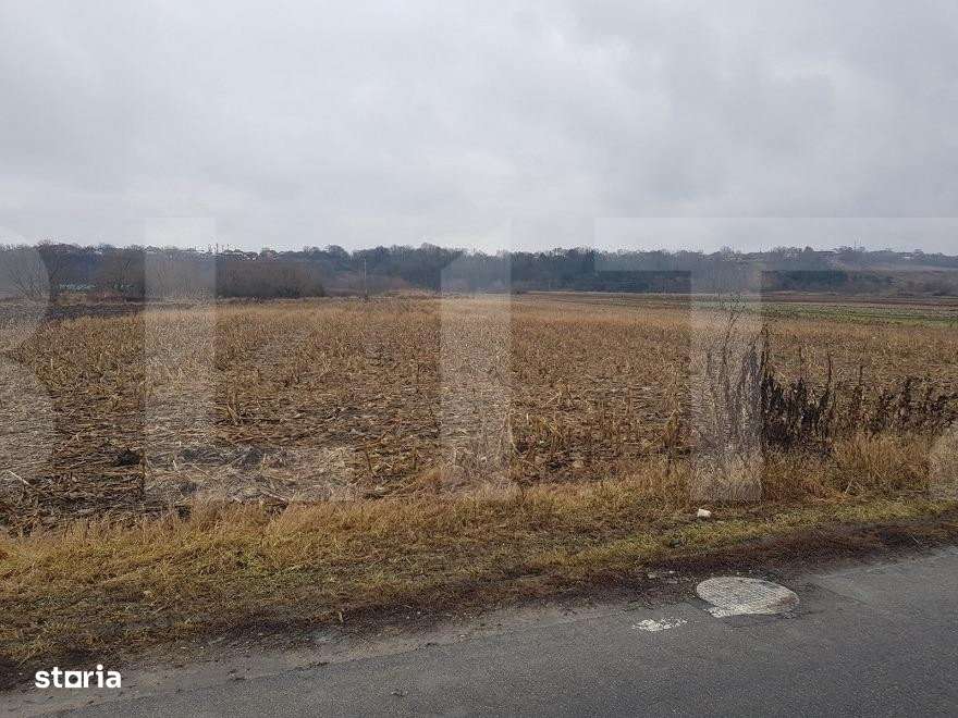 Teren extravilan, 4000 mp Jucu, zona Bosch - Imagine principală: 2/3