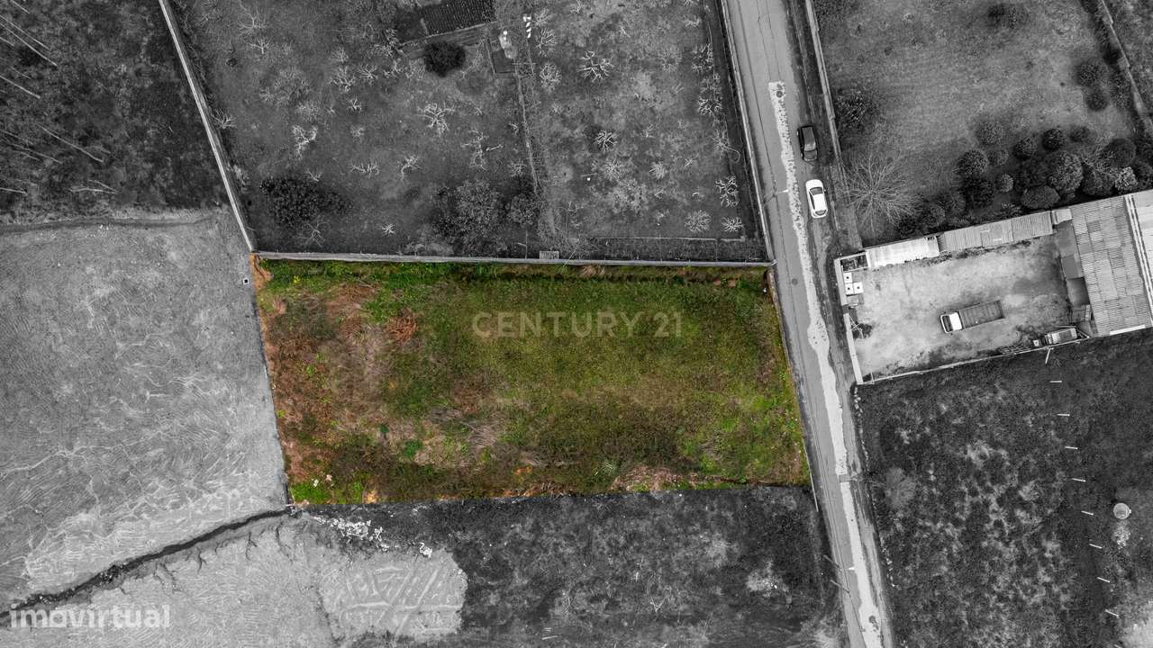 Terreno 1500m2 p/construção - Rio Meão - Grande imagem: 5/12