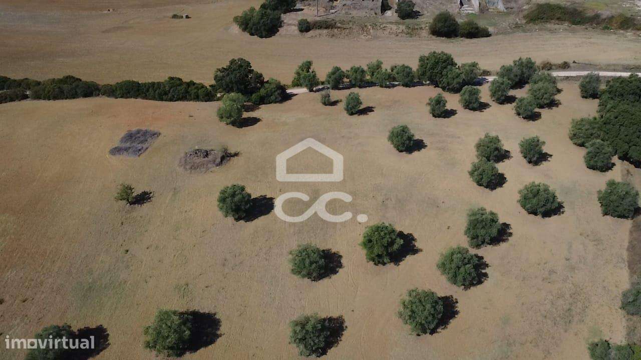 Terreno Rústico com 25.240 m² em Ferras, Gavata, Torres Novas – RAN-29