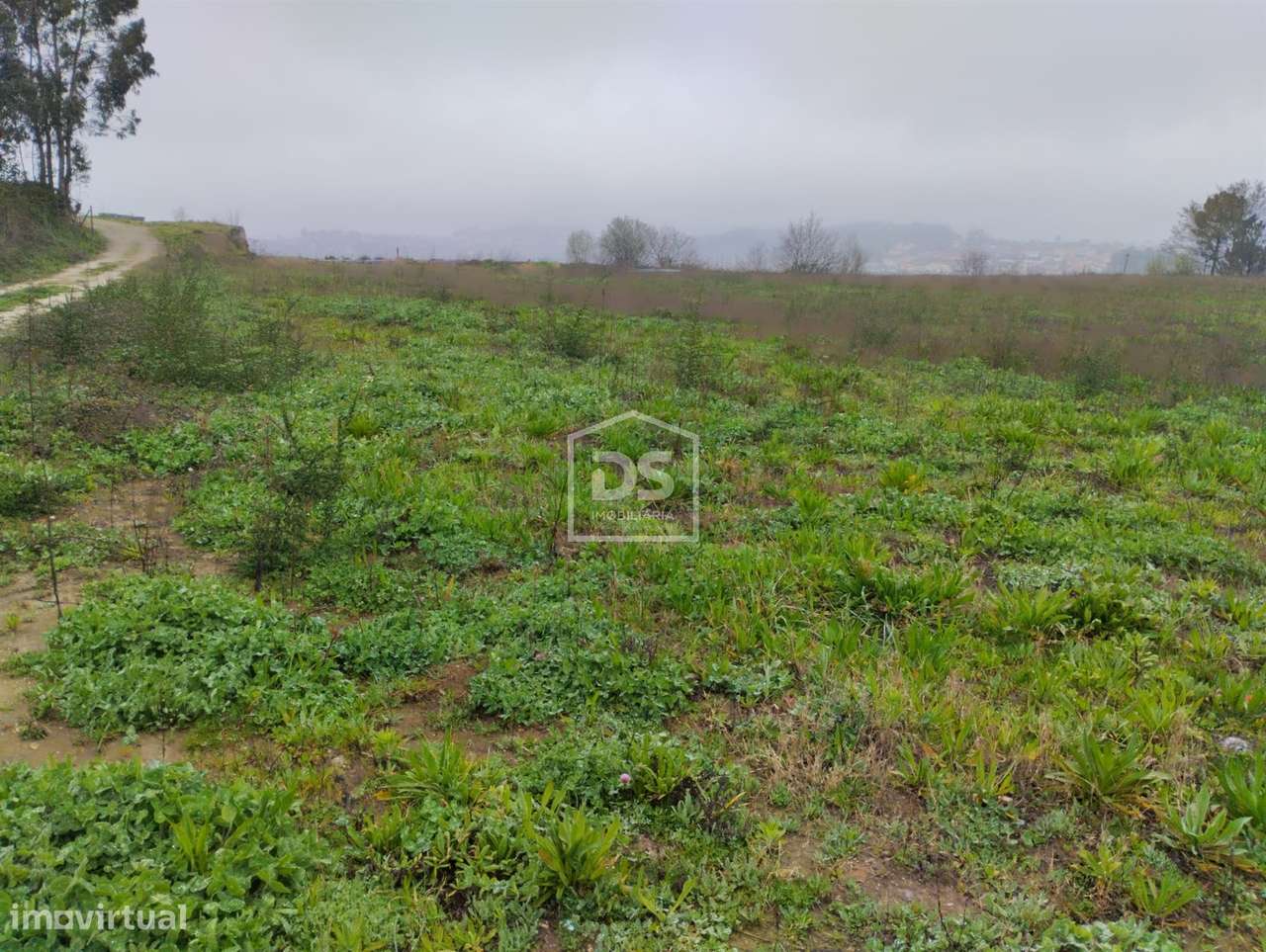 Terreno  Venda em Figueiró (Santiago e Santa Cristina),Amarante-6