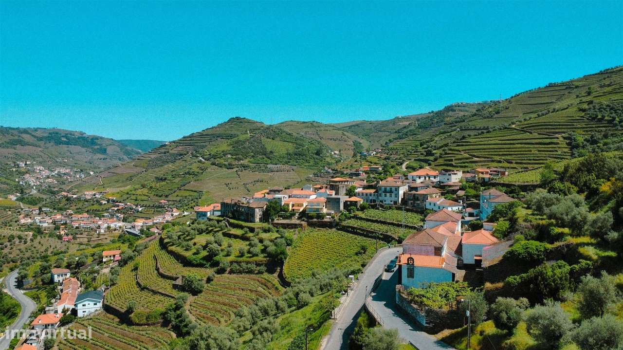 Quinta com Casa senhorial brasonada do Século XVIII na região do Douro-5