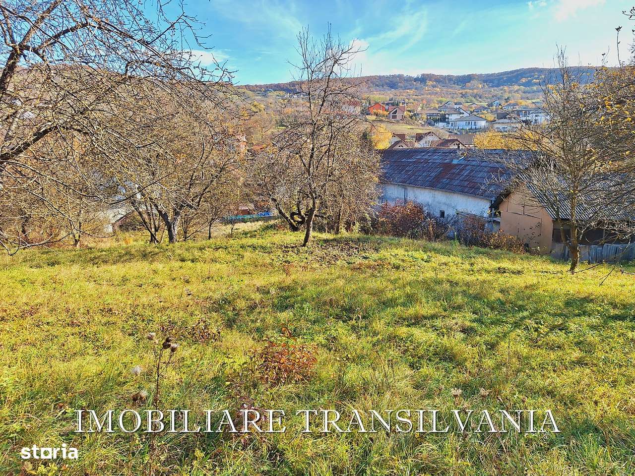 Teren intravilan 4200mp si casa - Valea Budacului-12
