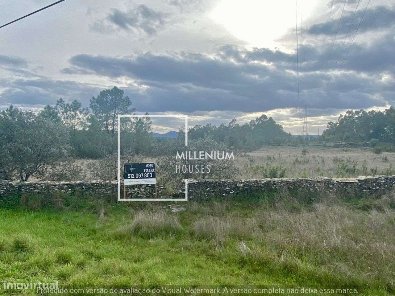 **Terreno Excecional em Sarnadas de Rodão**-9