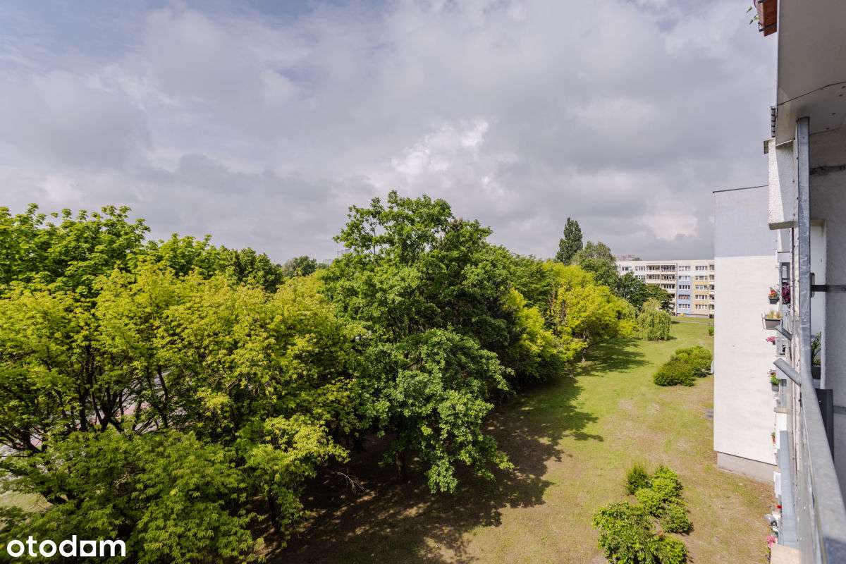 3 pok. z osobną kuchnią os. Czecha-9