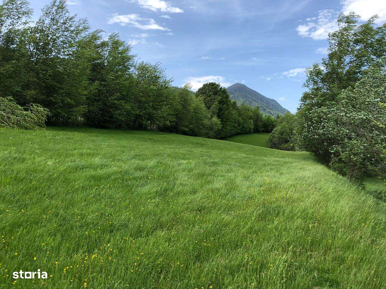 teren frumos, poziție excelentă, priveliște uimitoare - Imagine principală: 4/12