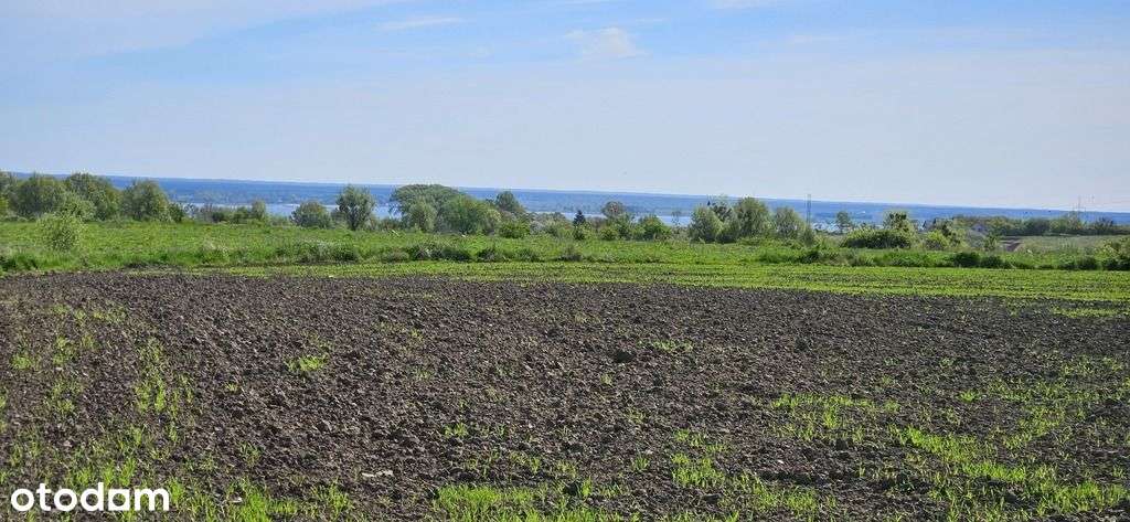 Działki W Skolwinie – Zieleń, Cisza, Potencjał !!!-1