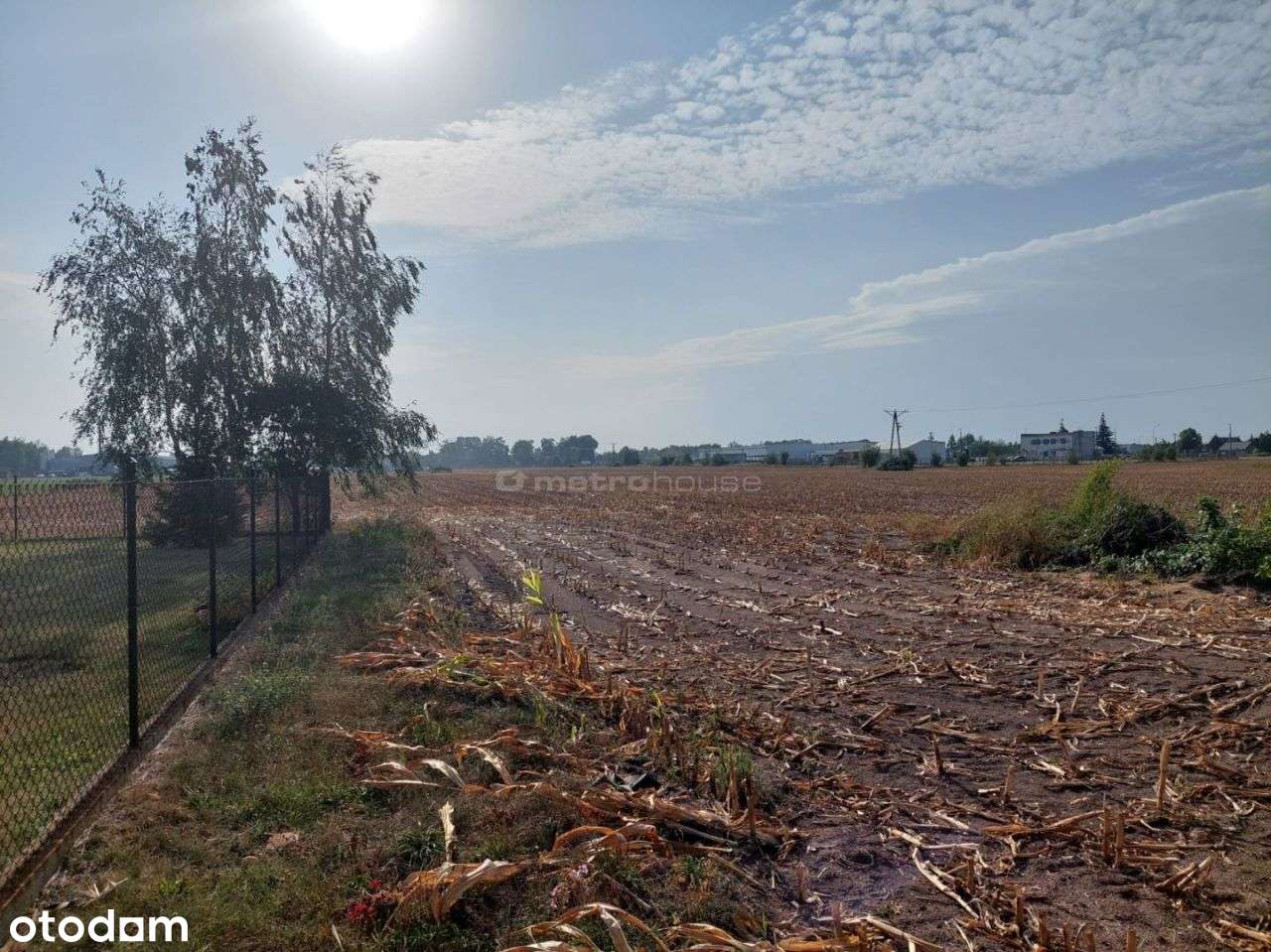 Działka w Głogowie 9322 m2 gmina Lubicz - Pełny obrazek: 3/7