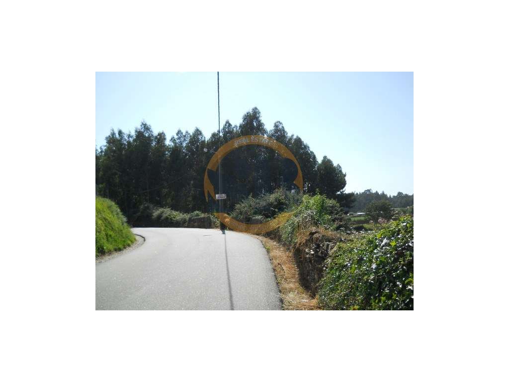 Terreno Construção Arada - Grande imagem: 3/8