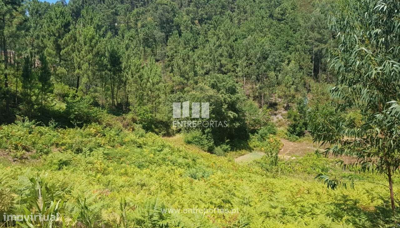 Venda Terreno, Chapa, Amarante - Grande imagem: 5/10