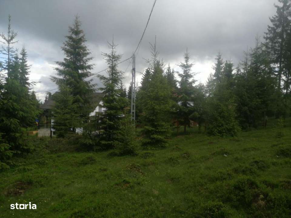 Teren de vanzare Belis1300mp Strada principala Intravilan-3
