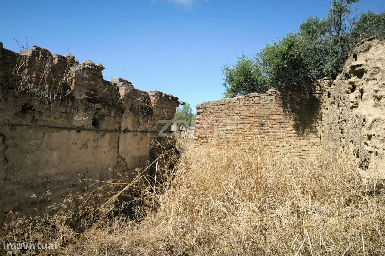 Terreno Misto ruína Vidigueira - Grande imagem: 4/10