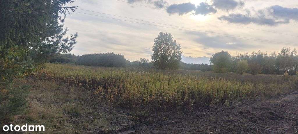 Borzęcin Mały-urokliwa działka budowlana - Pełny obrazek: 5/10