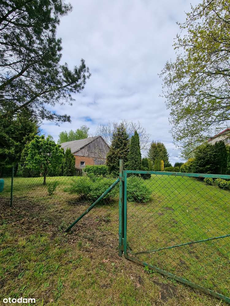 Działka, 79 000 m², Henrykowo-6