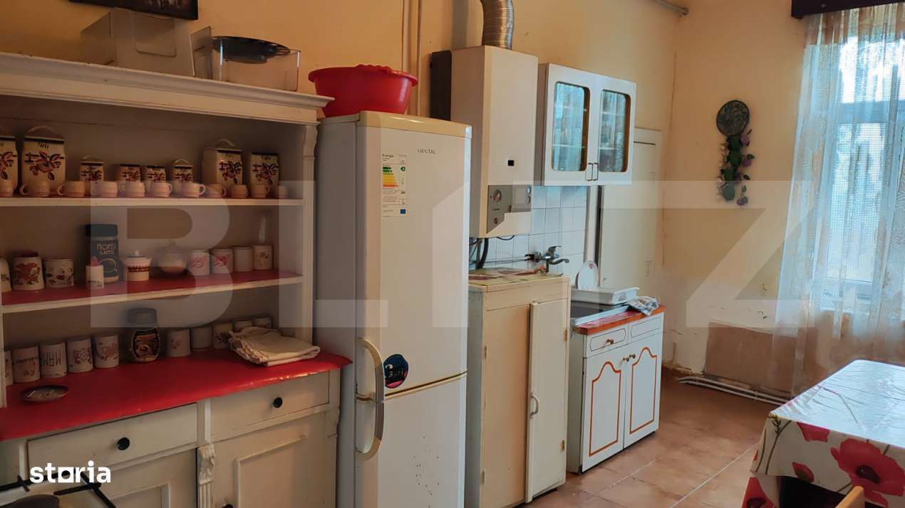 Casa individuala, Suprafata generoasa, Comuna Peciu Nou - Imagine principală: 2/3