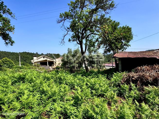 Moradia para Restaurar T0 Venda em Dossãos,Vila Verde-5