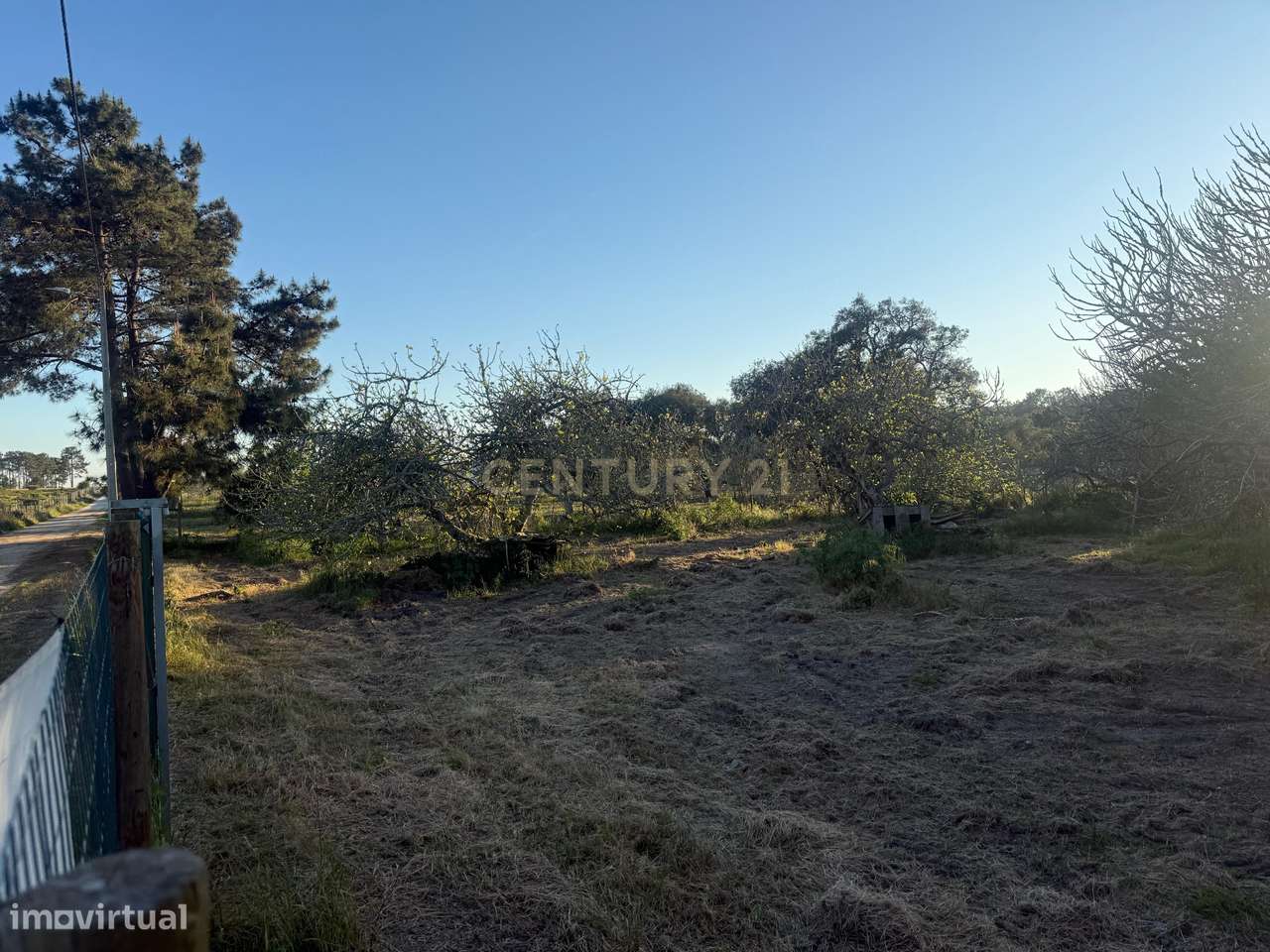 Encantadora Propriedade para Recuperação - Terreno de 4000 m2 - Grande imagem: 4/15