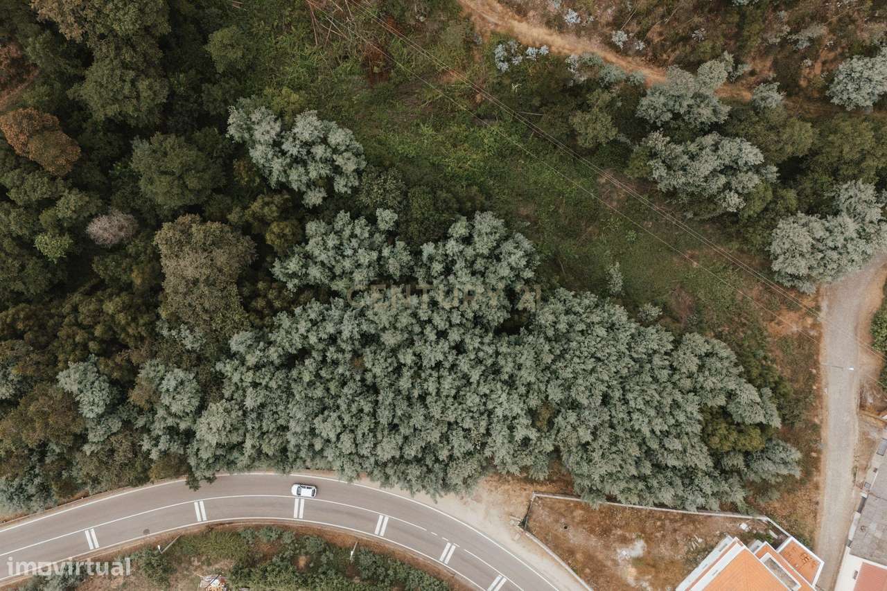 Terreno Misto com Duas Frentes - Medas, Gondomar - Grande imagem: 4/5