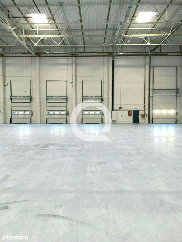 Magazyn z dobrym dostępem do obwodnicy! - Pełny obrazek: 2/6