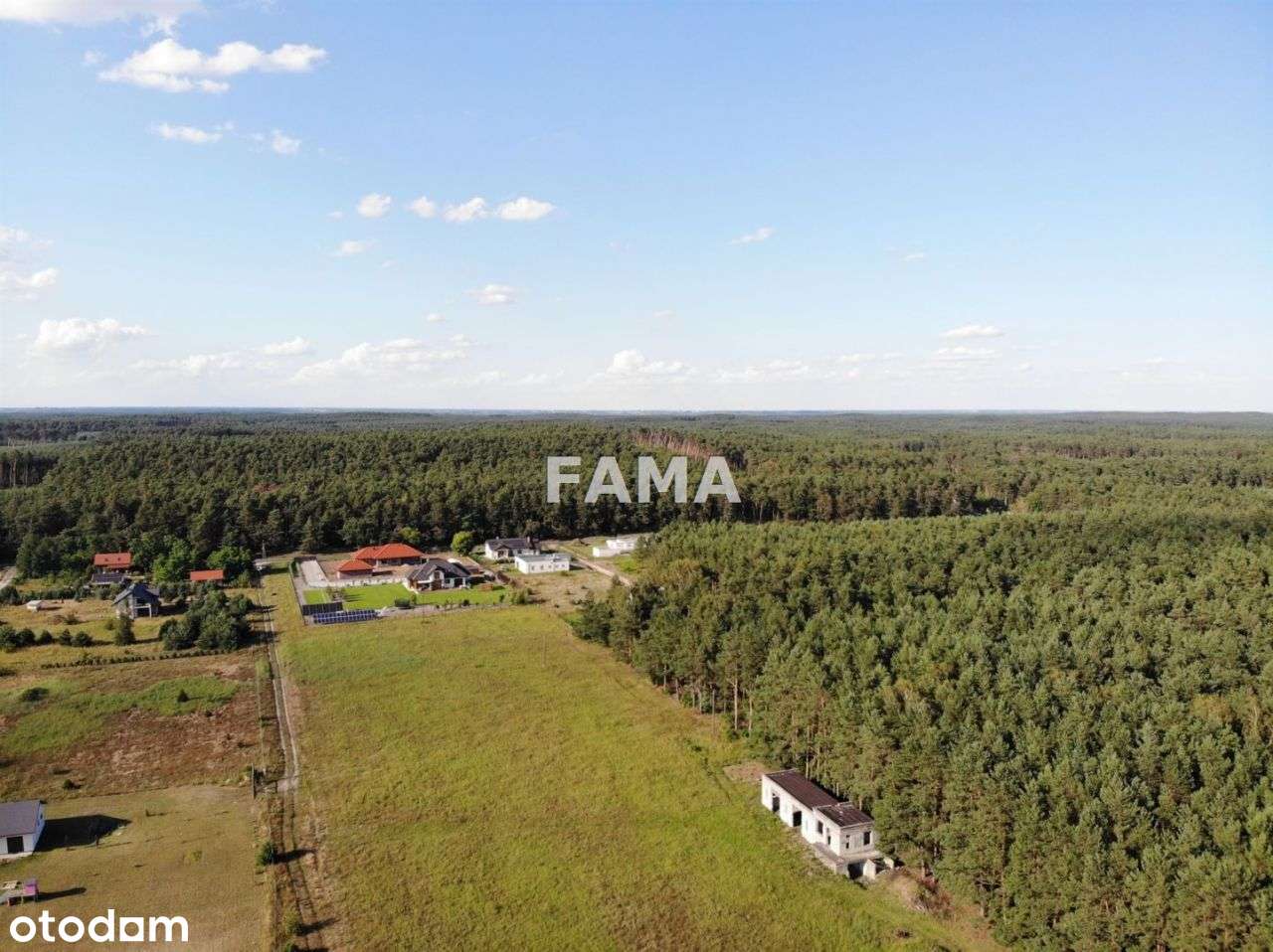 Działka 4200 mkw, Dębniaki, gm. Kowal, blisko las - Pełny obrazek: 4/6