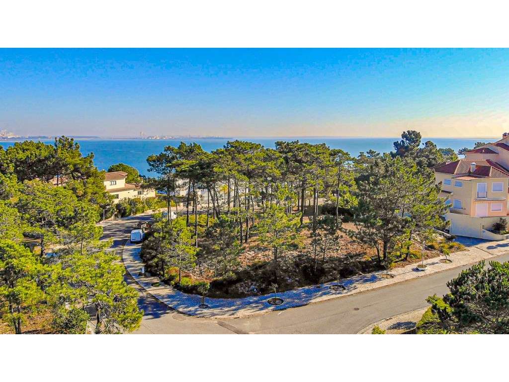 Lote para Construção de 2 Moradias de Luxo em Soltroia Rio - Peníns... - Grande imagem: 5/9