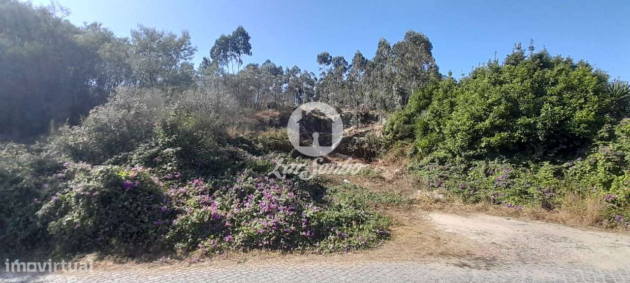 Terreno rústico c/ 20.700m2 de área total c/ viabilidade de constru... - Grande imagem: 3/11