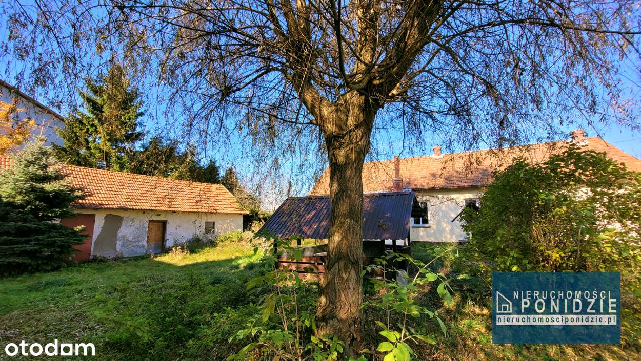 Dom 80 m2 na działce 2677 m2 Skrzypiów/Pińczów-2