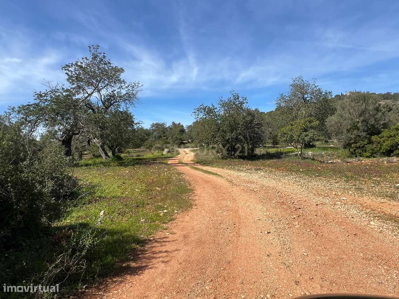 Terreno rústico com 7.360 m2, a 4 km de Paderne - Grande imagem: 2/9