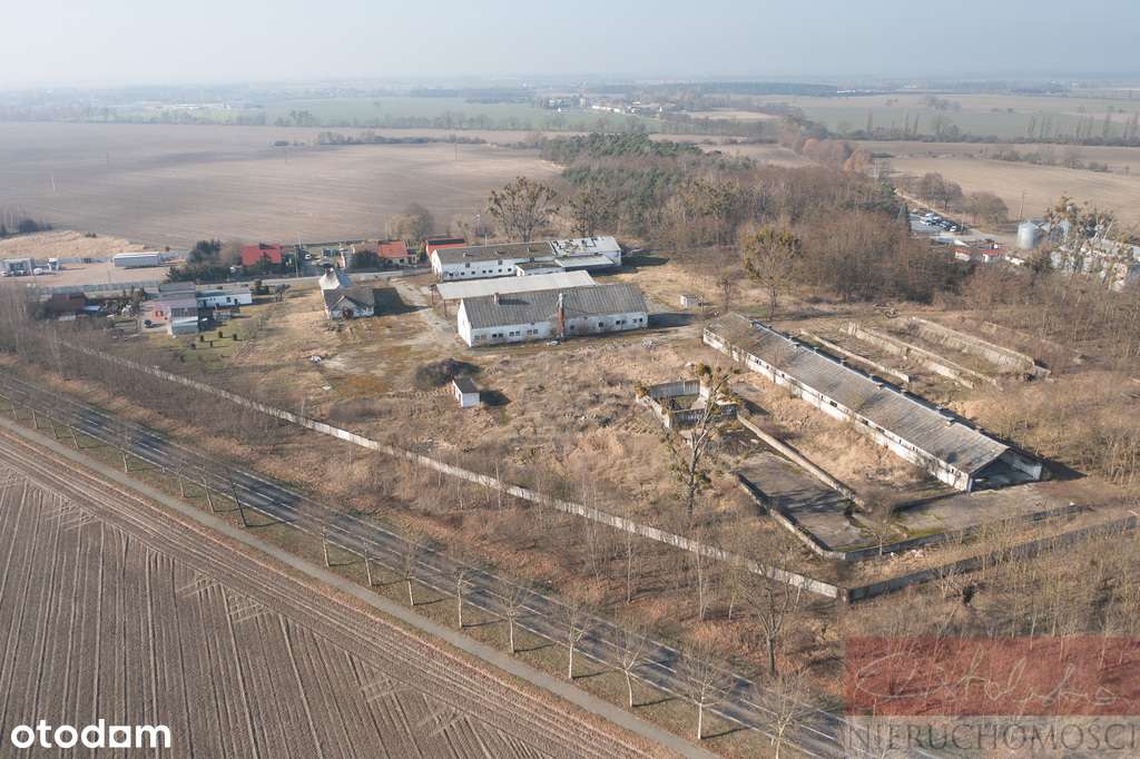 Z potencjałem przy drodze 187 i obwodnicy Szamotuł - Pełny obrazek: 1/8