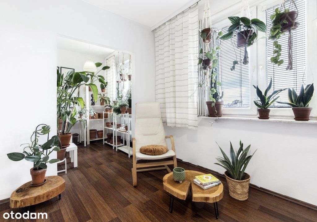 3 pokoje z możliwością przebudowy na 5-5