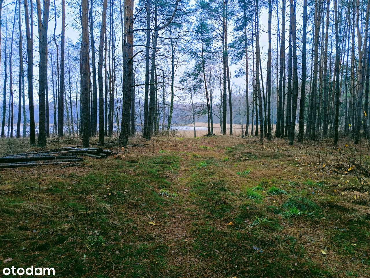 Działka z linią brzegową w Mężyku - Biała-4