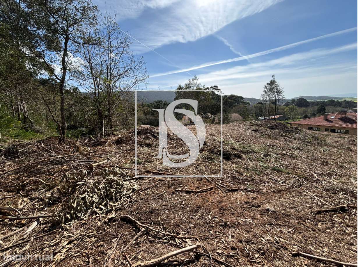 Terreno em Afife com vista mar - Grande imagem: 3/6