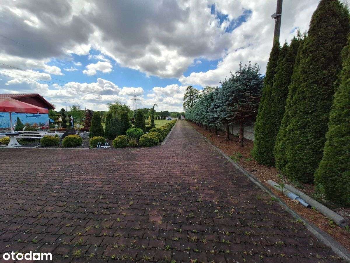 Działka budowlana Sośnie-9