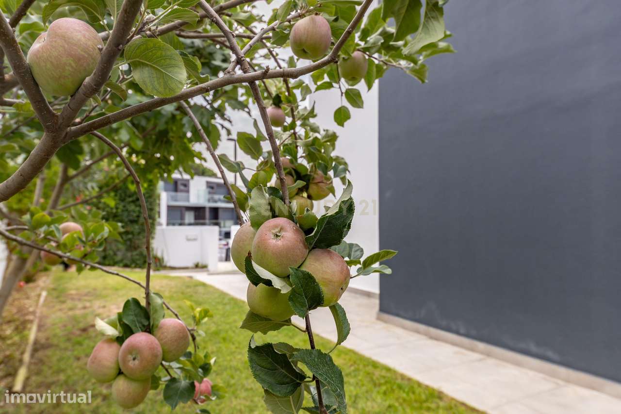Moradia Isolada T4 de Prestígio – Bairro de São João, Sobreda - Grande imagem: 5/60