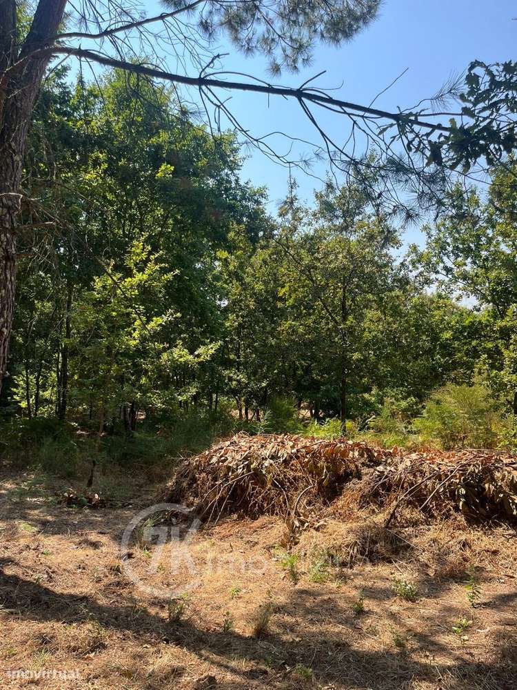 Terreno para  Construção - Grande imagem: 5/15