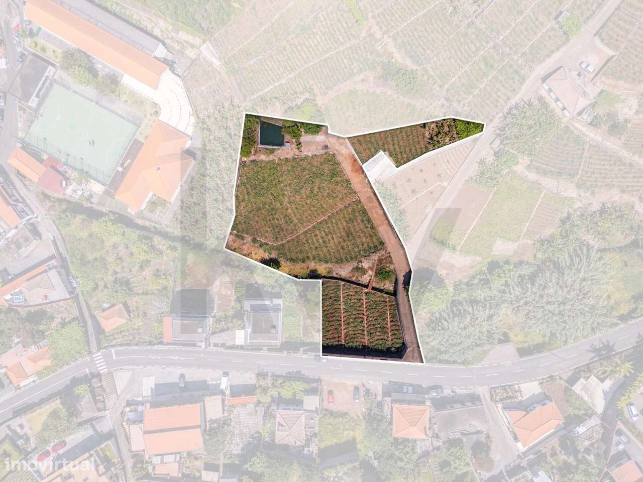 Terreno Rústico com Excelente Exposição Solar e Acessos – Canhas - Grande imagem: 5/18