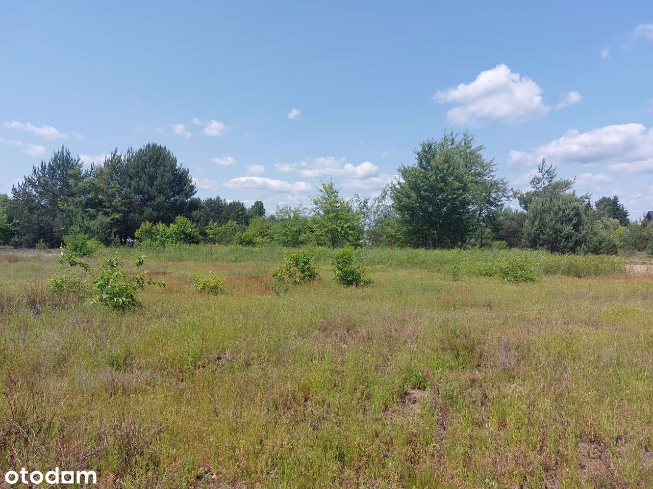 Działka  Budowlana oś. Łuże NOWA CENA, WZ - Pełny obrazek: 4/5