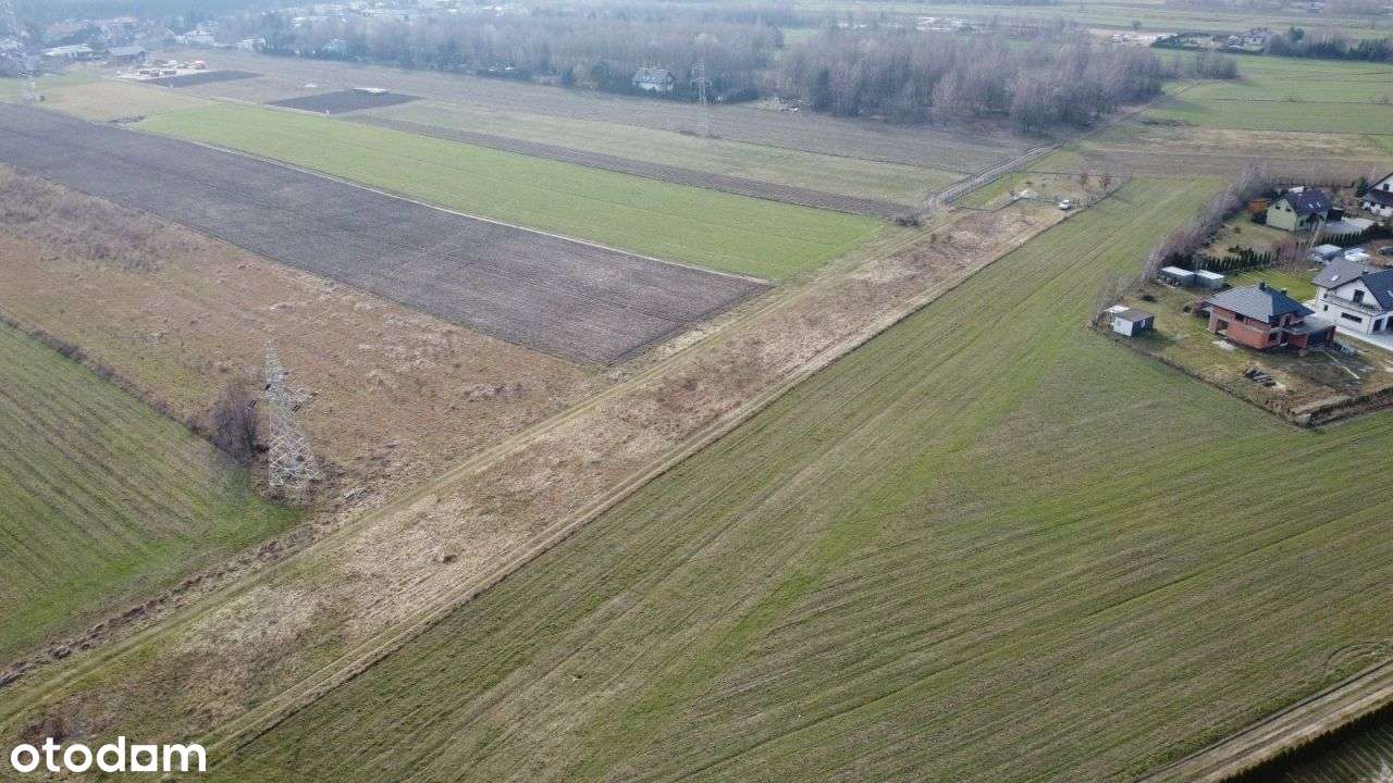 Działka, 2 450 m², Józefów - Pełny obrazek: 5/10