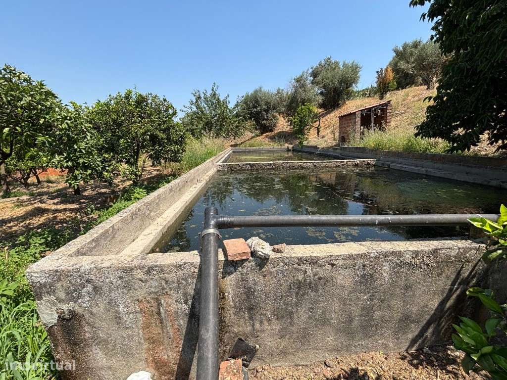 Conjunto de 3 habitações com 2.2ha na Chamusca - Grande imagem: 4/36