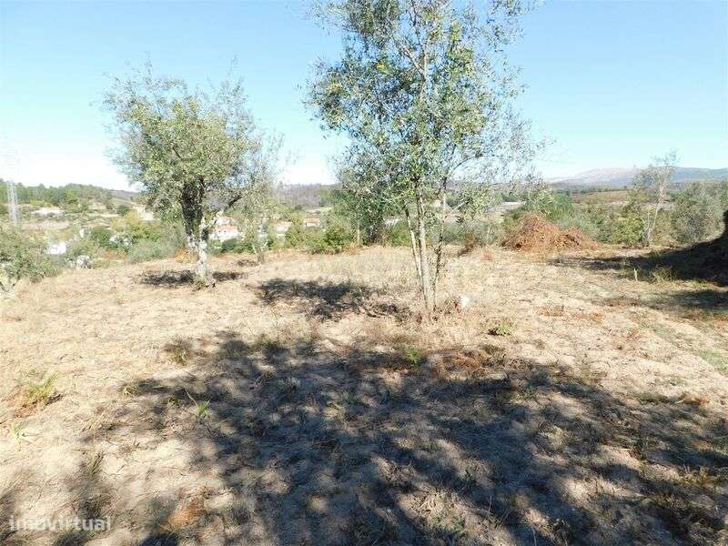 Terreno / Seia, Várzea de Meruge - Grande imagem: 4/10